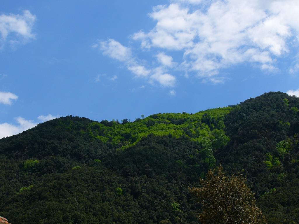 Susqueda Mas Els Terrats 게스트하우스 외부 사진